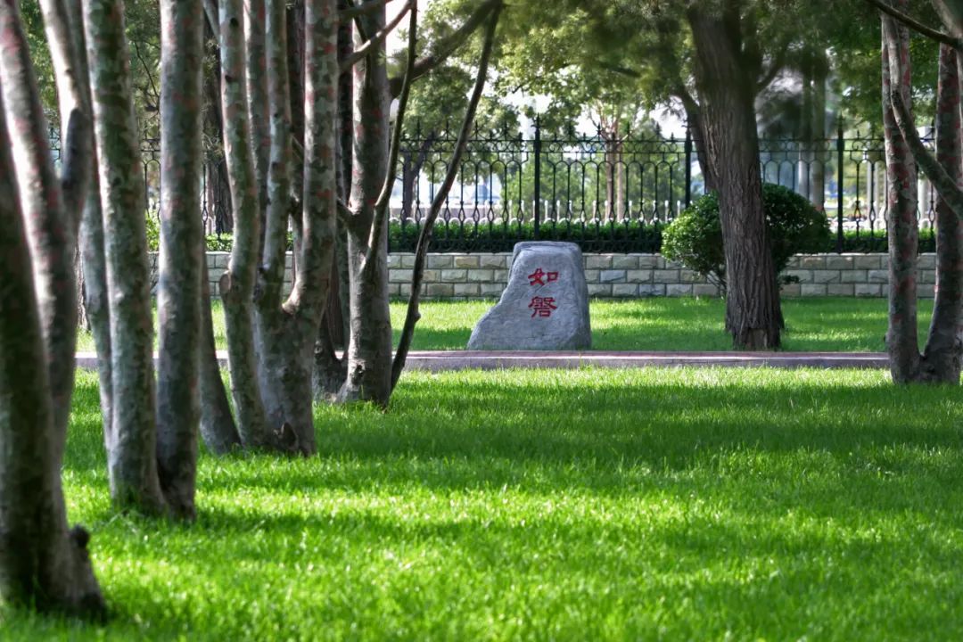 高考冲刺_学长学姐肺腑分享助你一臂之力_高考倒计时10天备考试心得